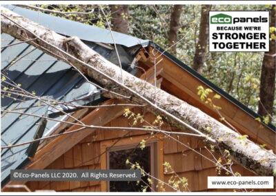 Eco-Panels stopped a falling tree.